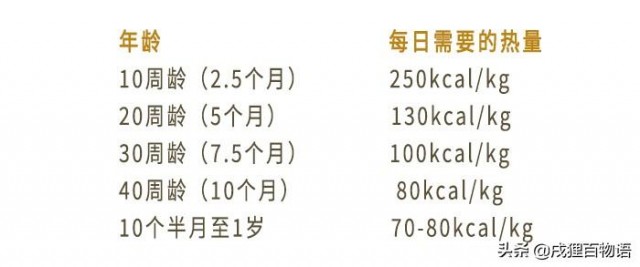 怎样喂猫粮？你必须制造这三个原则